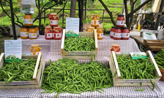 Riparte la Condotta Slow Food Campi Flegrei – Cronaca Flegrea