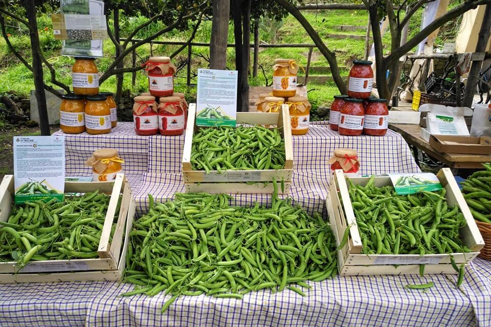 Riparte la Condotta Slow Food Campi Flegrei – Cronaca Flegrea