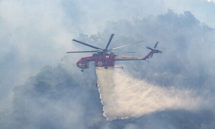 Brucia ancora la collina dei Camaldoli, in volo mezzi aerei – Cronaca Flegrea