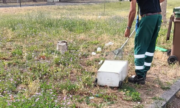 ripuliti i giardinetti a Toiano – LE FOTO – Cronaca Flegrea