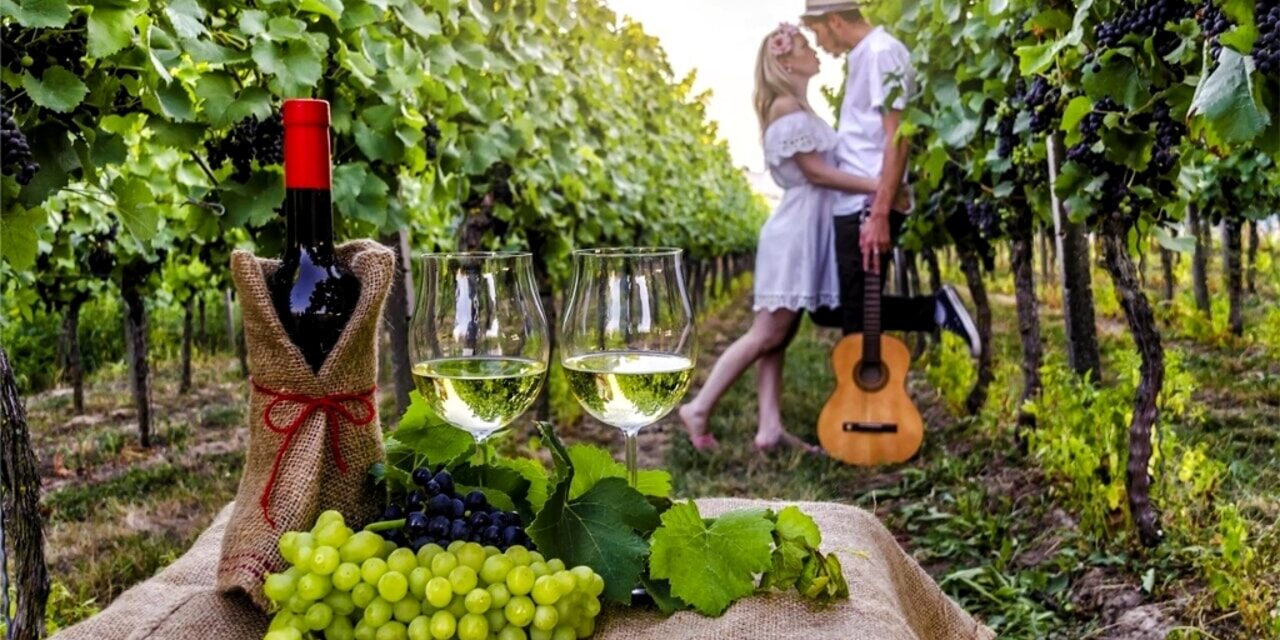 musica, cibo e vino nei vigneti dei Campi Flegrei