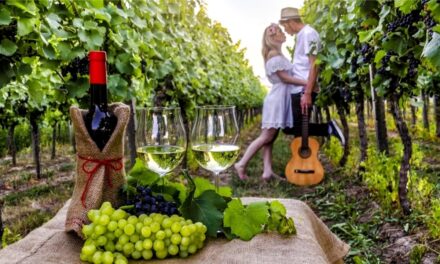 musica, cibo e vino nei vigneti dei Campi Flegrei