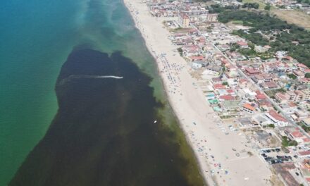 POZZUOLI/ Mare inquinato, scatta il divieto di balneazione in un tratto di Licola – Cronaca Flegrea