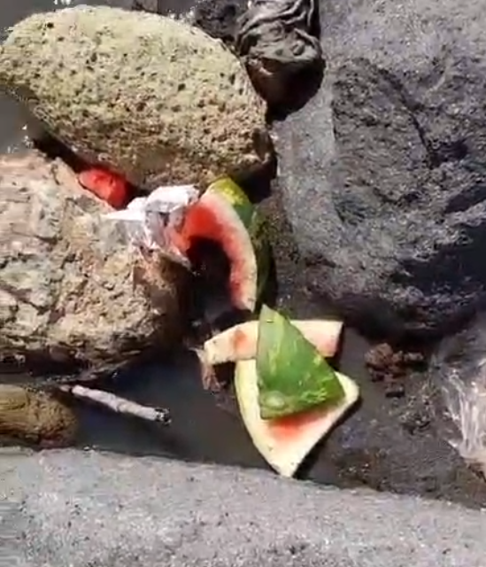 Sos dai bagnanti: «Fogna scaricata a mare al lido Monachelle ad Arco Felice» – LE FOTO