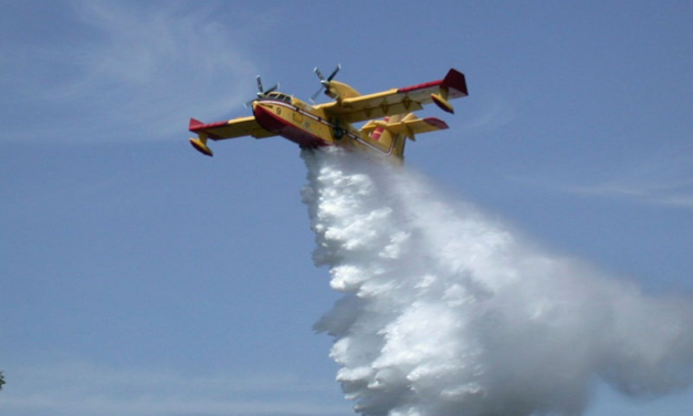 Incendi boschivi, nuova richiesta di intervento aereo in Campania – Cronaca Flegrea