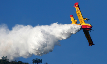 Incendi boschivi, nuove richieste di intervento aereo – Cronaca Flegrea