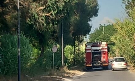 POZZUOLI/ Allarme incendi a Licola «Giovani piromani si divertono a fare danni» – Cronaca Flegrea