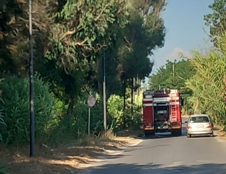 POZZUOLI/ Allarme incendi a Licola «Giovani piromani si divertono a fare danni» – Cronaca Flegrea