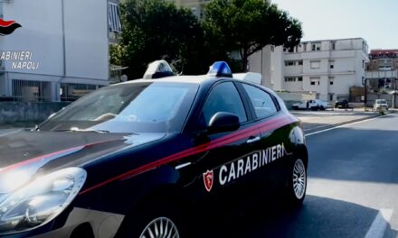 lanciati un crick e uno pneumatico contro i carabinieri – Cronaca Flegrea