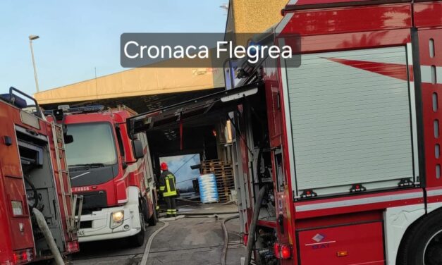 «Concentrazioni di diossine inferiori ai valori di riferimento» – Cronaca Flegrea