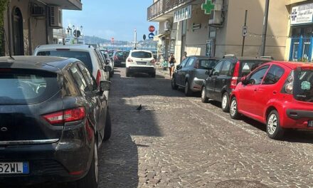 POZZUOLI/ La denuncia di un gruppo di ristoratori «Topi tra i tavoli, siamo abbandonati dal Comune» – Cronaca Flegrea