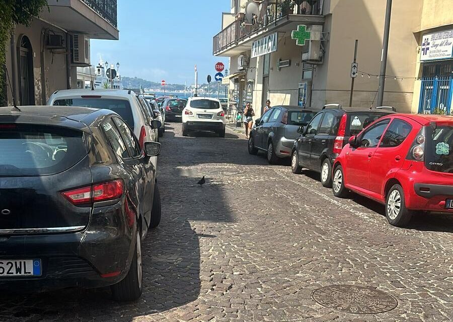 POZZUOLI/ La denuncia di un gruppo di ristoratori «Topi tra i tavoli, siamo abbandonati dal Comune» – Cronaca Flegrea