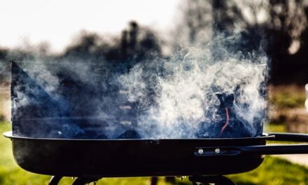 Accende barbecue in un parco privato a Varcaturo e poi aggredisce i carabinieri: arrestato – Cronaca Flegrea