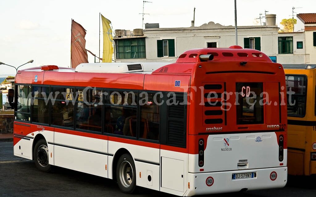 «Pronti a sporgere denuncia» – Cronaca Flegrea