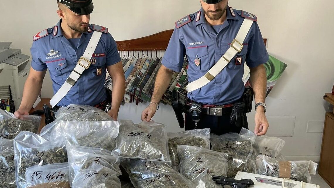 Chili di marijuana, armi e munizioni: arrestate 3 persone