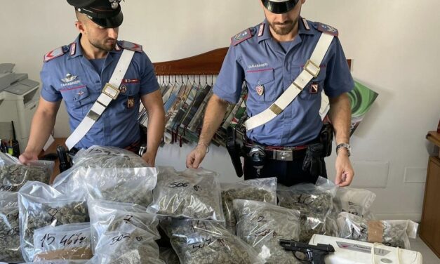 Chili di marijuana, armi e munizioni: arrestate 3 persone