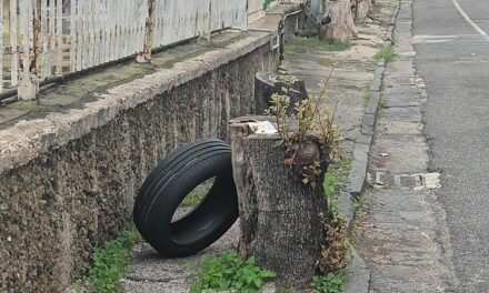 I LETTORI SEGNALANO/ «Rifiuti abbandonati a Lucrino» – Cronaca Flegrea