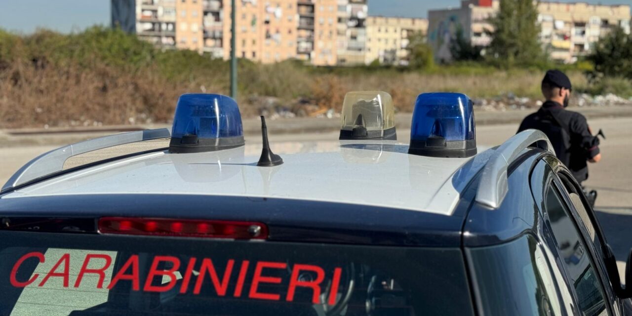 Servizio di controllo straordinario dei carabinieri: denunce e sequestri