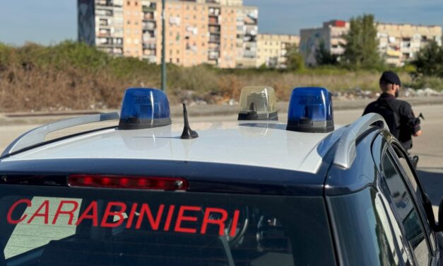 Servizio di controllo straordinario dei carabinieri: denunce e sequestri