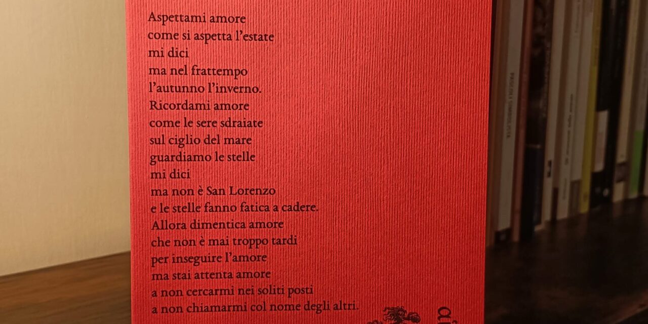 «Amore che vieni, tempo che va» il nuovo libro di Federica Russo – Cronaca Flegrea