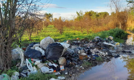 A Giugliano discariche illecite nelle campagne e terreni da coltivazioni infestati da solventi, vernici e motori – Cronaca Flegrea