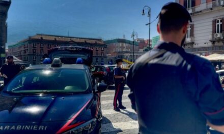 Boom di targhe straniere, parte la stretta dei Carabinieri: raffica di multe e denunce