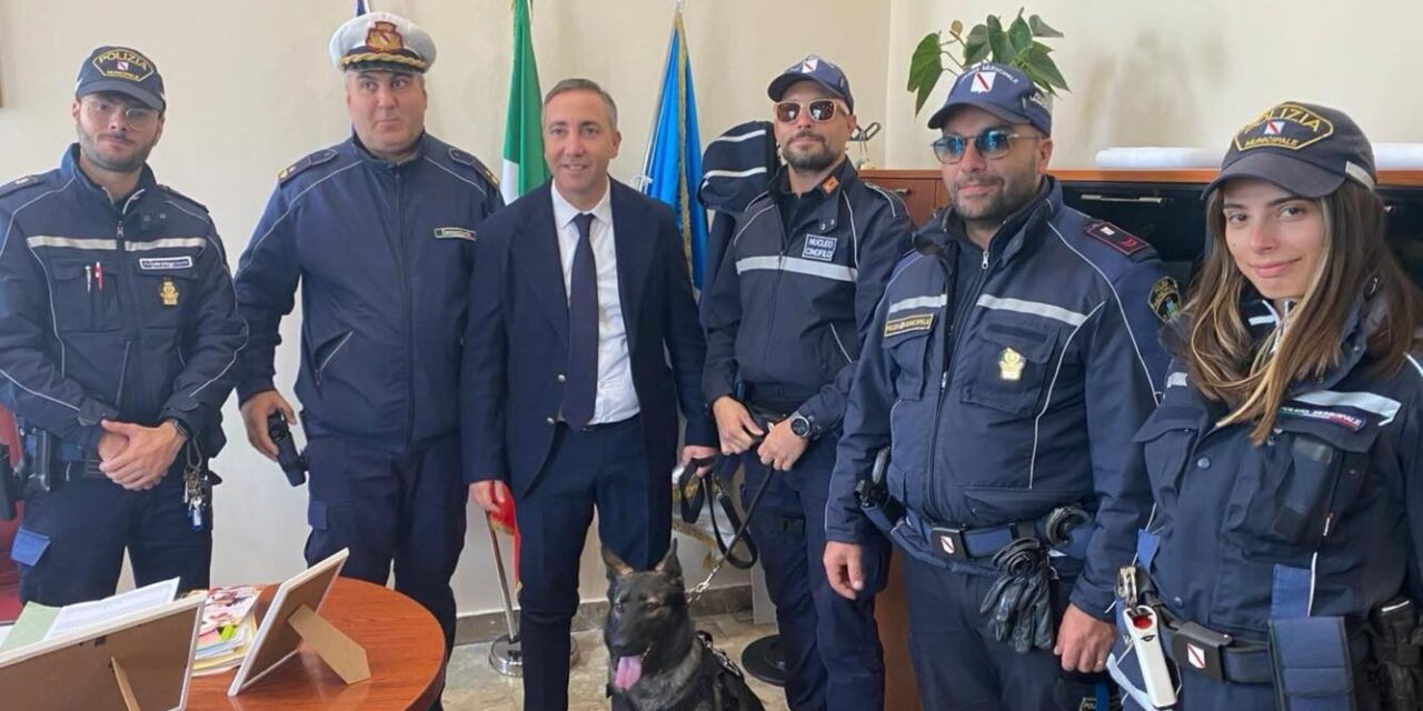 A Quarto arriva l’unità cinofila della Polizia Municipale – Cronaca Flegrea