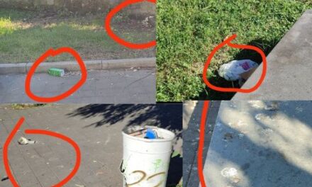 POZZUOLI| “Degrado nell’area verde della scuola Vittorio Emanuele. Che inciviltà!” – LE FOTO