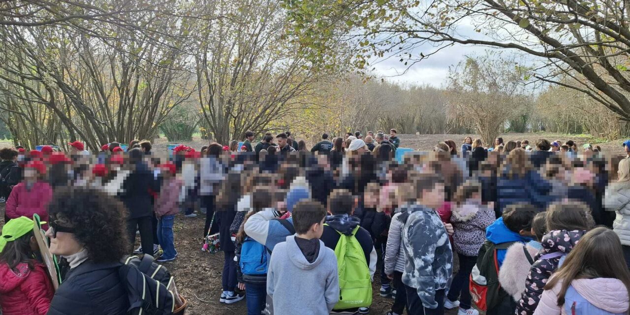 centinaia di bambini per la Festa dell’Albero – LE FOTO – Cronaca Flegrea