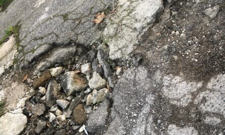 «Strada in condizioni pietose in via Trepiccioni» – Cronaca Flegrea