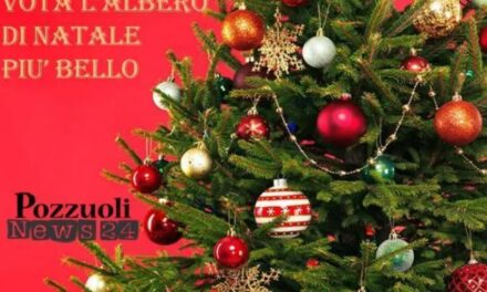 CONCORSO| Vota l’albero di Natale più bello: ecco come partecipare