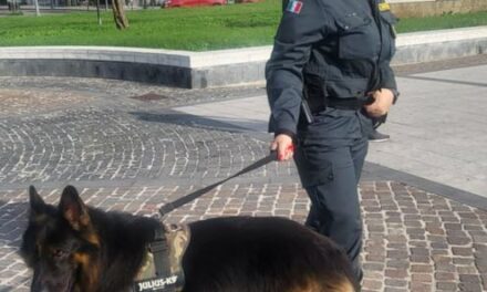 al via la campagna iscrizioni per nuovi volontari – Cronaca Flegrea