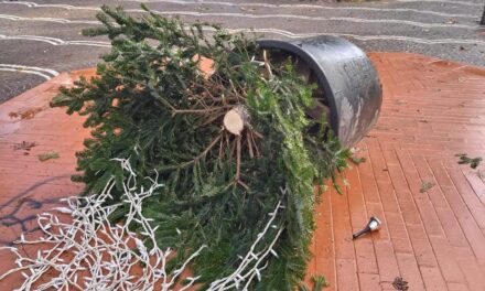 QUARTO/ Vandalizzato alberello di Natale nella villa comunale – Cronaca Flegrea