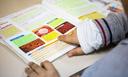 Doposcuola e laboratori gratuiti per bambini a Pozzuoli – Cronaca Flegrea