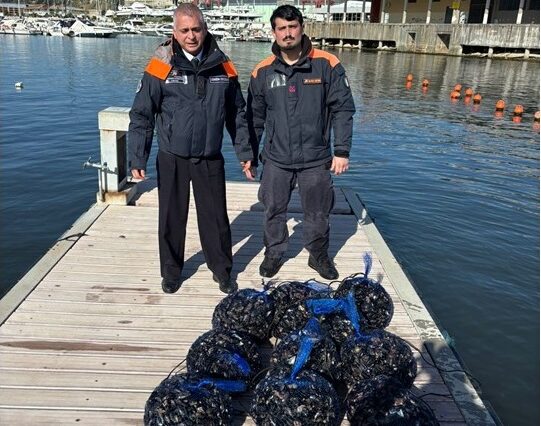 Sequestrati cento chili di cozze nel porto di Pozzuoli – Cronaca Flegrea