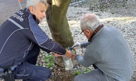 il sindaco chiude Villa Avellino – LE FOTO – Cronaca Flegrea