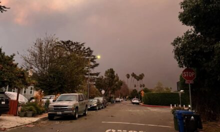 Inferno di fuoco a Los Angeles, il racconto di una puteolana «Incendi feroci, ho la borsa pronta a casa» – Cronaca Flegrea