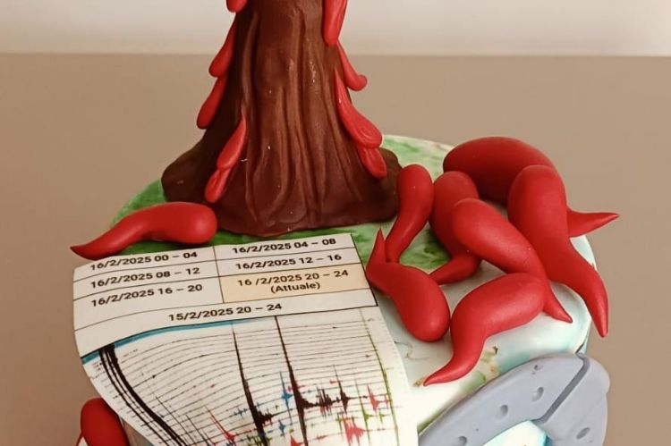 FOTONOTIZIA| Scosse di terremoto, una torta di compleanno a forma di sismografo