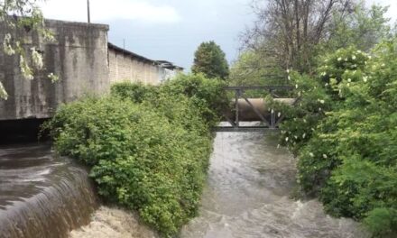 POZZUOLI| Reflui chimici nel mare dalla zona Asi, Mercurio: “Il sindaco lo sa, danno ambientale spaventoso”