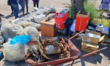 BACOLI| Spiagge libere dalla plastica: volontari in azione per ripulire la scogliera a Marina Grande 