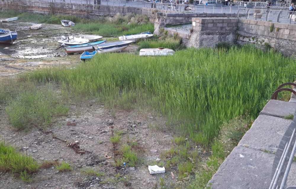 POZZUOLI| La Darsena della vergogna: erba alta e degrado